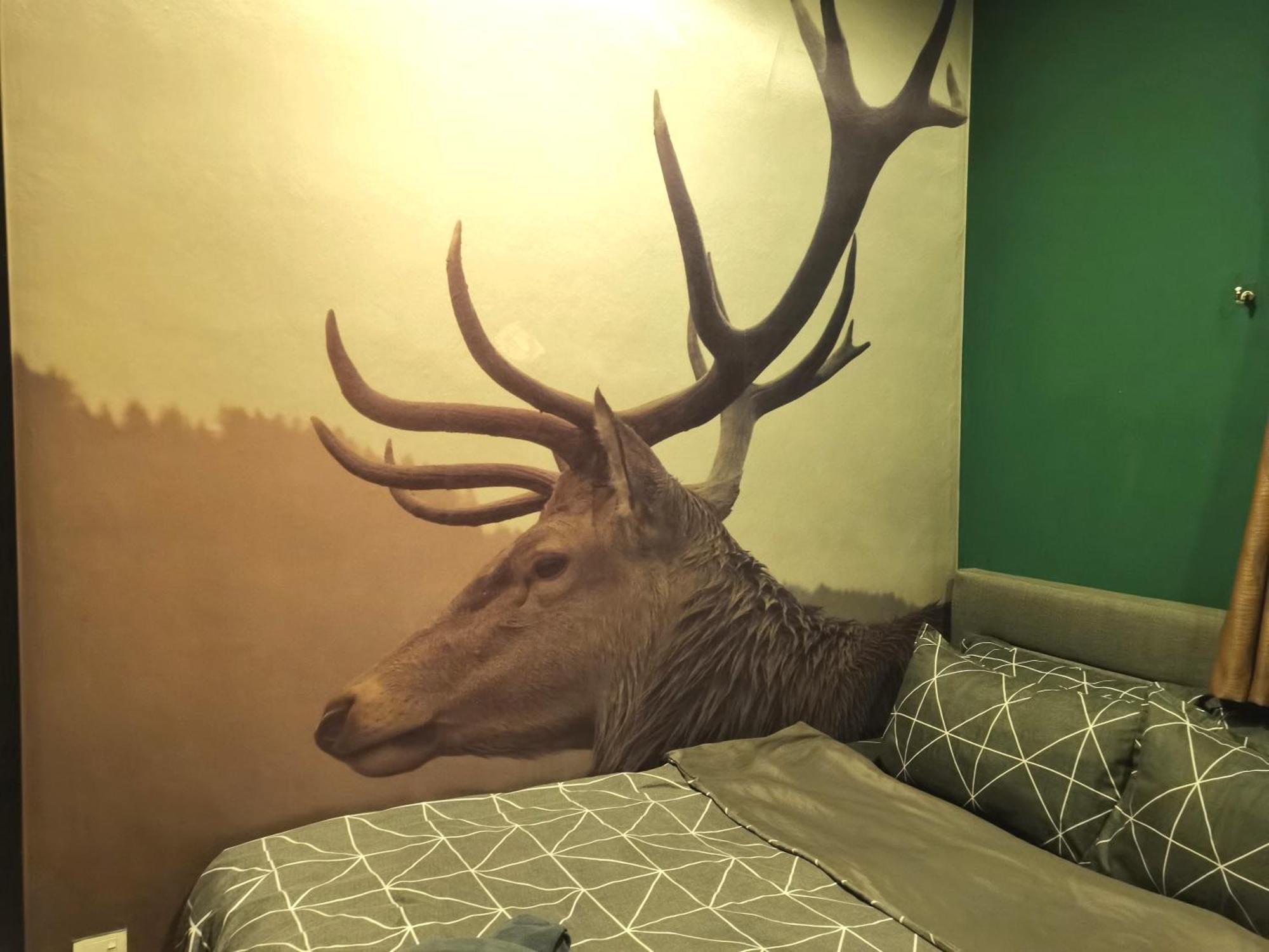 Cozy Forest Themed Homestay 4 Bedroom Kuala Lumpur Esterno foto
